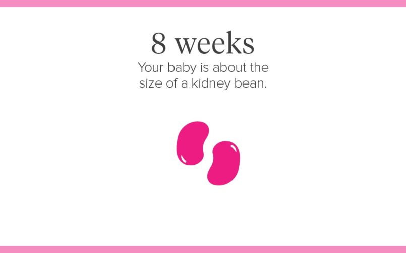 Week 8 Pregnancy